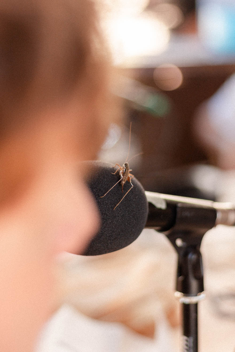 Photo by Antônio Frederico Lasalvia